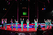 Lilalau Wintergala am 12.12.2010 (Foto: Ingrid Grossmann)